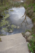 Stone Steps Descending Into Reflective Pond With Duckweed