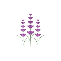 Poster - Lavender logo