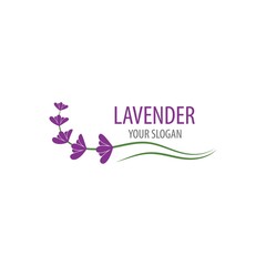 Poster - Lavender logo