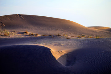 Wall Mural - Desert Landscapes 