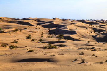 Wall Mural - Desert Landscapes 