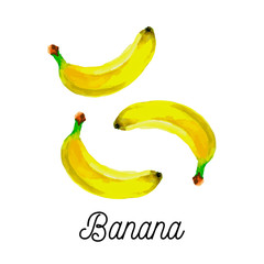 Poster - Watercolor banana fruit vector vegetarian food fresh