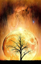 Fantasy Book Cover Template - Lonely Bare Tree Silhouette With Huge Planet Rising Behind It And Galaxy In The Sky - Digital Illustration. Elements Of This Image Are Furnished By NASA