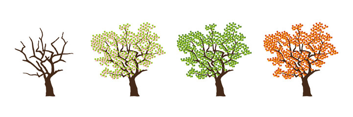 Wall Mural - tree four seasons winter spring summer autumn vector illustration EPS10