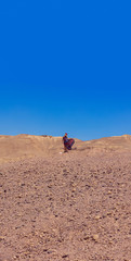 woman single person in desert drying nature scenery environment vertical format