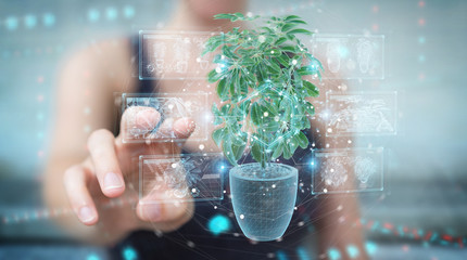 Fototapete - Woman holding and touching holographic projection of a plant with digital analysis 3D rendering