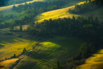 beautiful spring landscape of green meadows
