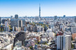 Aerial view of Bunkyo Ward in Tokyo, Japan