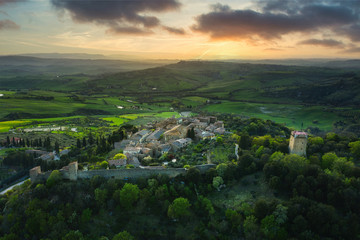 Wall Mural - Spring flying on the landscape at sunset over blooming fields