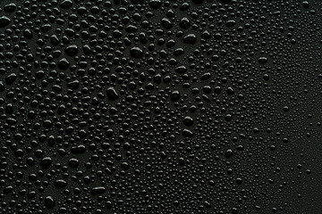 Water droplets on black background.