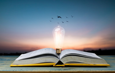 open book with light bulb on table and bird flying on sky, knowledge and wisdom concept