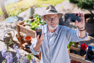 A senior gardener man in his garden, he makes a selfie by holding a plant in his hand in front of his wooden planters on her terrace.