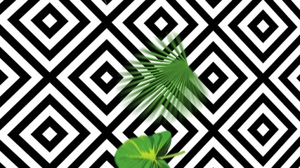Wall Mural - Falling green tropical leaves on a geometric black and white background. Exotic botanical 4k animation from realistic vector hand drawn objects in motion 