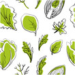 Seamless pattern with salad leaves and herbs. Colorful line sketch collection of vegetables and herbs isolated on white background. Doodle hand drawn vegetable icons. Vector illustration