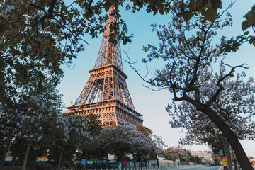 notre dame de paris