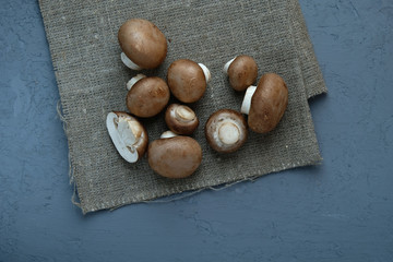 Fresh brown champignon mushrooms on vintage textile background and gray concrete slab, copy space.