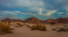 Evening Desert Sand Mountain Tumbleweed Scenery Landscape View Western USA