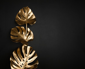 Gold painted shiny minimal monstera leaves composition on abstract black background