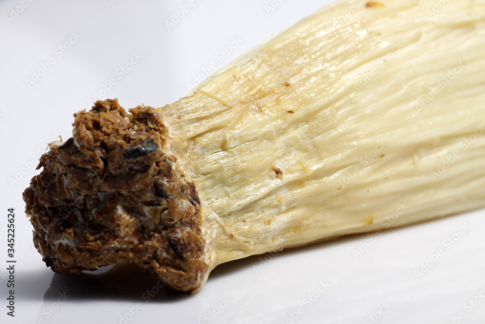 close-up-shot-of-enoki-flammulina-velutipes-is-a-mushroom-that-is