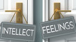 feelings or intellect as a choice in life - pictured as words intellect, feelings on doors to show that intellect and feelings are different options to choose from, 3d illustration