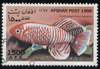 Sticker - RUSSIA KALININGRAD, 28 MARCH 2019: stamp printed by Afghanistan shows fish, circa 1998