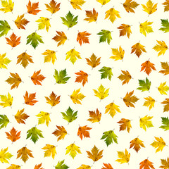 Wall Mural - Colorful maple leaves spread on white background. Autumn seasonal texture concept.