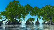 Red mangroves on Florida coast 3d rendering