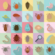 Parasite icons set. Flat set of parasite vector icons for web design