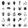 Parasite bug icons set. Simple set of parasite bug vector icons for web design on white background