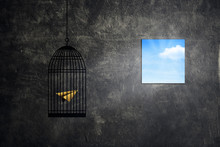 Freedom Concept : Yellow Paper Plane Imprison In Birdcage And Trying To Fly Out Of Window To Sky.