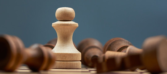 the concept of victory. the white pawn is standing, the black pieces are lying around.