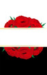 Banner poppies. Remembrance poppy. Anzac day veterans commemoration.