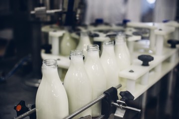 Canvas Print - Selective focus shot of milk bottling factory