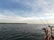 © Yong - Fishing Activity