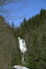 Wall Mural - Magnifique chute en forêt canadienne au printemps. Québec