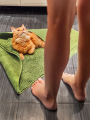 Woman entered bathroom and saw cute ginger cat lying on bathroom floor, covered with green rug. Fluffy funny pet basked in warm room.