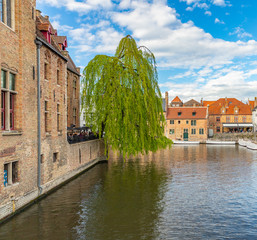 Wall Mural -  View of Dijver canal with houses and trees in Bruges, Belgium