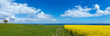 Ostsee Panorama Landschaft mit Weide mit grasenden Kühen und blühendem Rapsfeld und dem Meer im Hintergrund