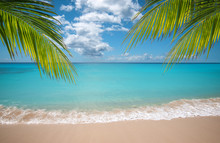 Tropical Vacation Paradise With White Sandy Beaches And Swaying Palm Trees.