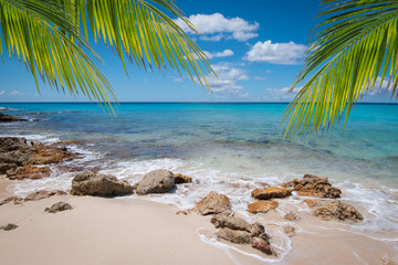 Poster - Tropical white sandy beach with rocks and palm trees, Sint Maarten, Caribbean.