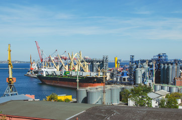 Port cargo crane loads a container onto a cargo ship in a seaport