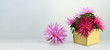 © izzzy71 - Mothers day background or banner with aster flowers and copy space