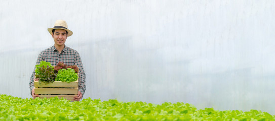 Panoramic wide banner with copy space. friendly farmer smiling and holding organic hydroponic fresh green vegetable produce wooden box in greenhouse garden nursery farm, agriculture business concept