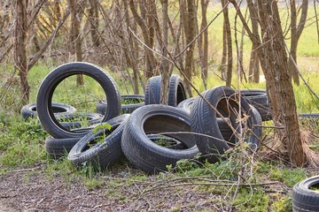 Wall Mural - Old tyres in a waste pile got rid of by illegal dumping in a forest