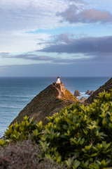 Canvas Print - Nugget point, New Zealand