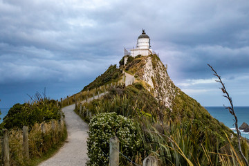 Canvas Print - Nugget point, New Zealand