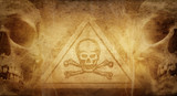 Fototapeta Sawanna - Symbol of dangerous and toxic substances surrounded by human skulls on a background of old paper. Good background on the topic of chemistry, alchemy, pharmaceuticals, poisons.