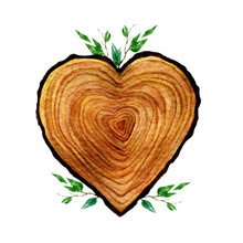 Watercolour Wooden Heart Isolated On White Background. Watercolor Heart Wood Slice Illustration. 