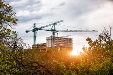 Wall Mural - Construction site with green park area. Cranes and buildings in morning sun