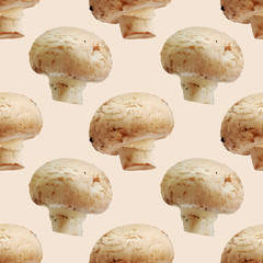 Champignon mushroom plant food macro photo seamless pattern texture background